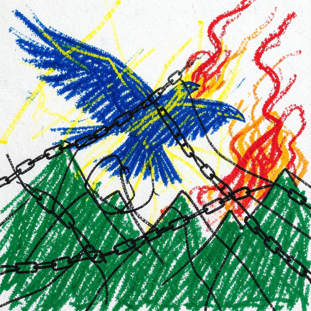 corvo de Brasília